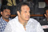Balakrishna Gallery